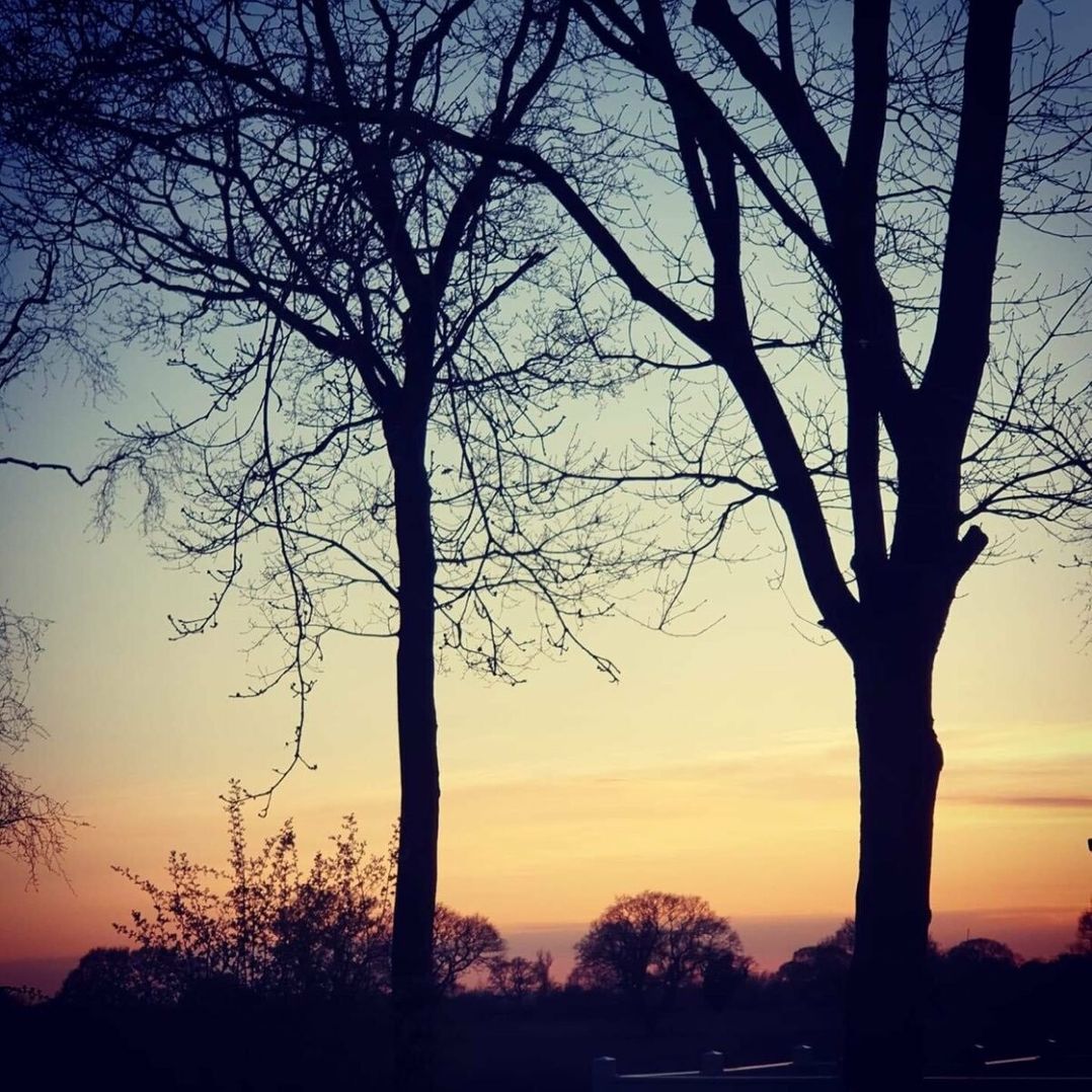 Goosewood Holiday Park - Holiday Accommodation 10547