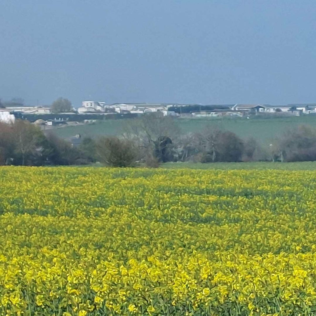 Warden Springs Holiday Park - Holiday Accommodation 12937