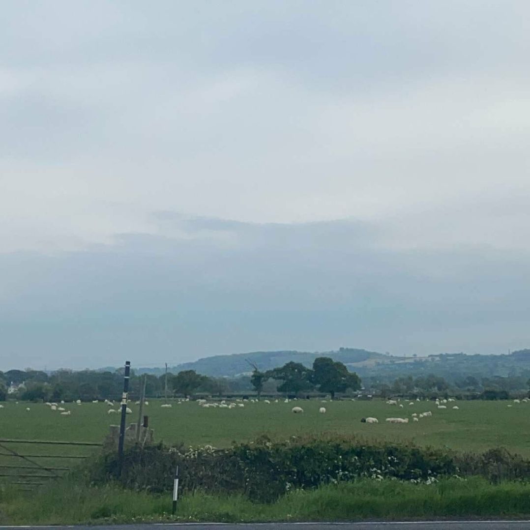 Ty Mawr Holiday Park - Holiday Accommodation 12957