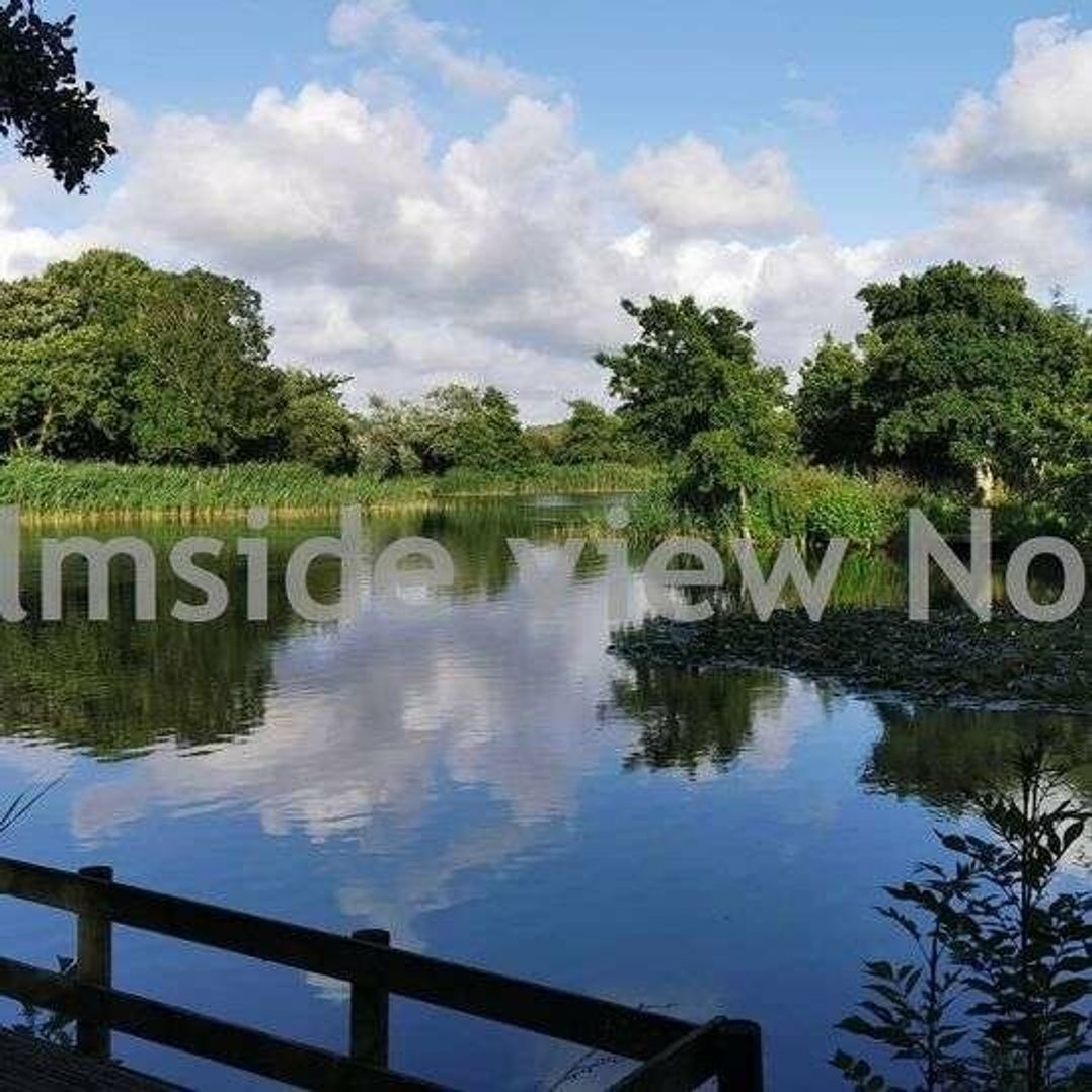 Trevella Park - Holiday Accommodation 14424