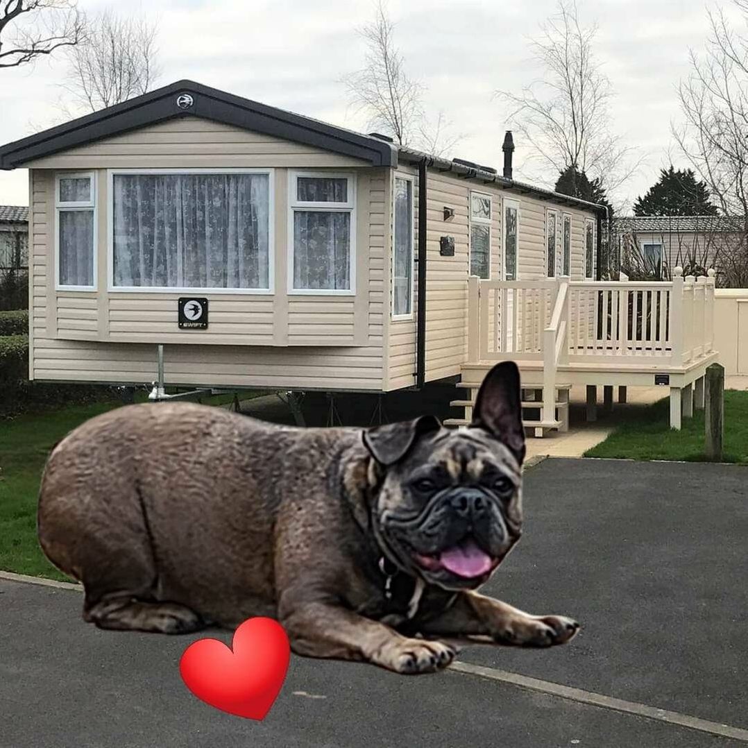 Kiln Park Holiday Park - Holiday Accommodation 15763