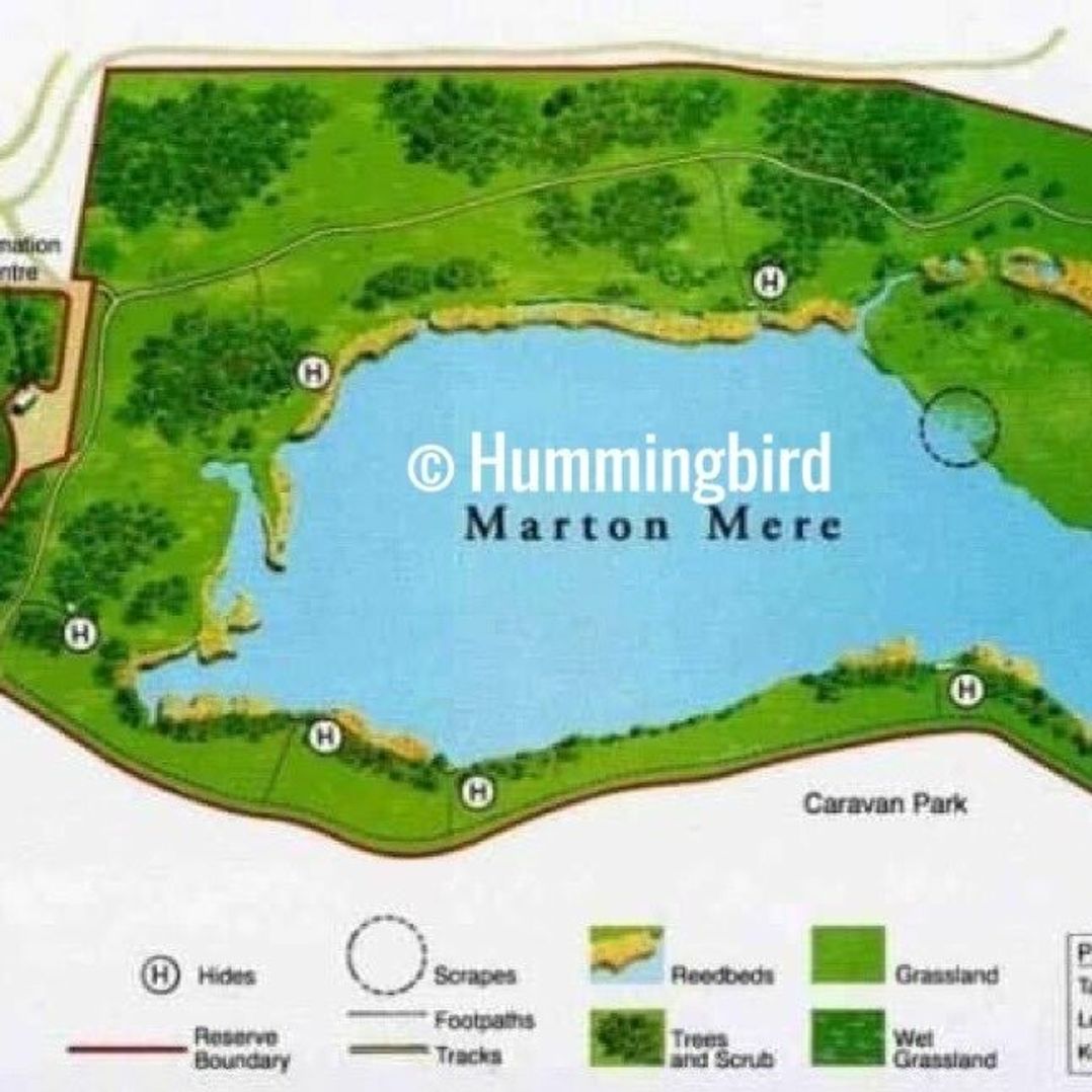 Marton Mere Holiday Village - Holiday Accommodation 17195