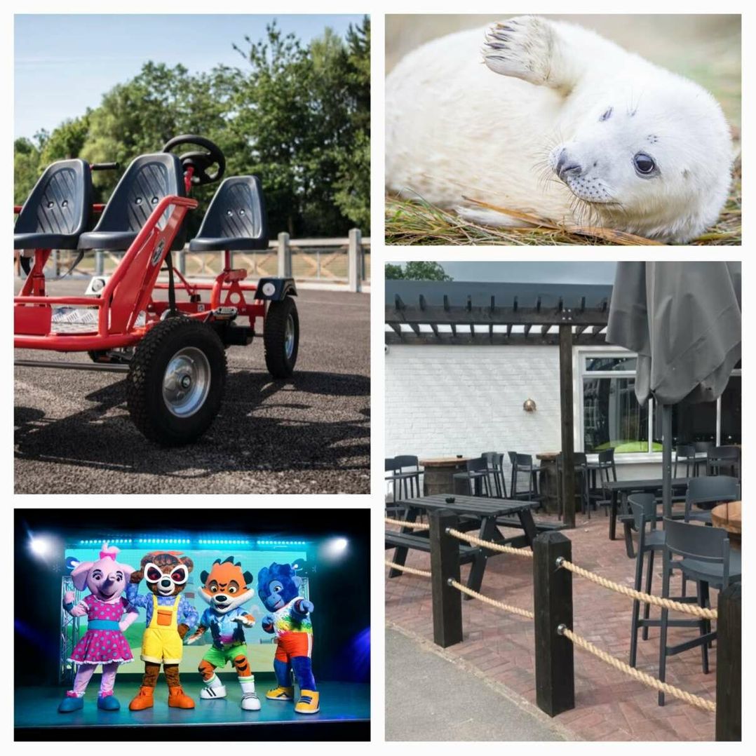 Golden Sands - Holiday Accommodation 17357