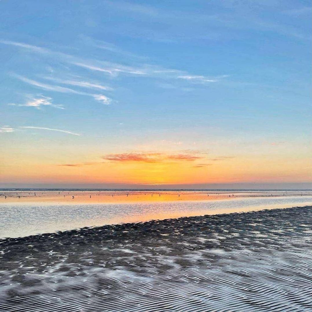 Romney Sands Holiday Park - Holiday Accommodation 18079