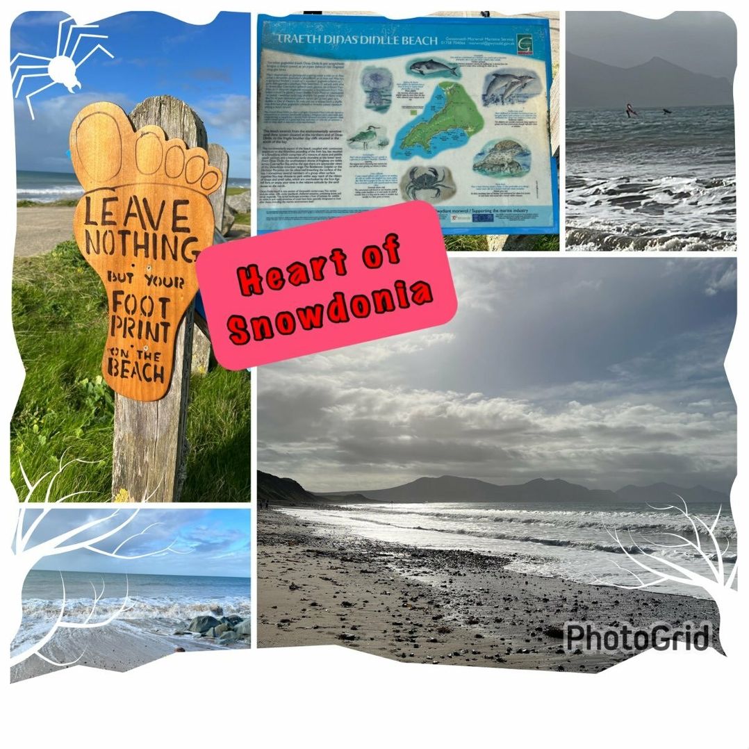 White Tower Holiday Park - Holiday Accommodation 18762