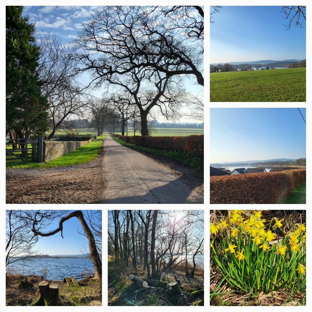 Halleaths Caravan Park - Holiday Accommodation 19542