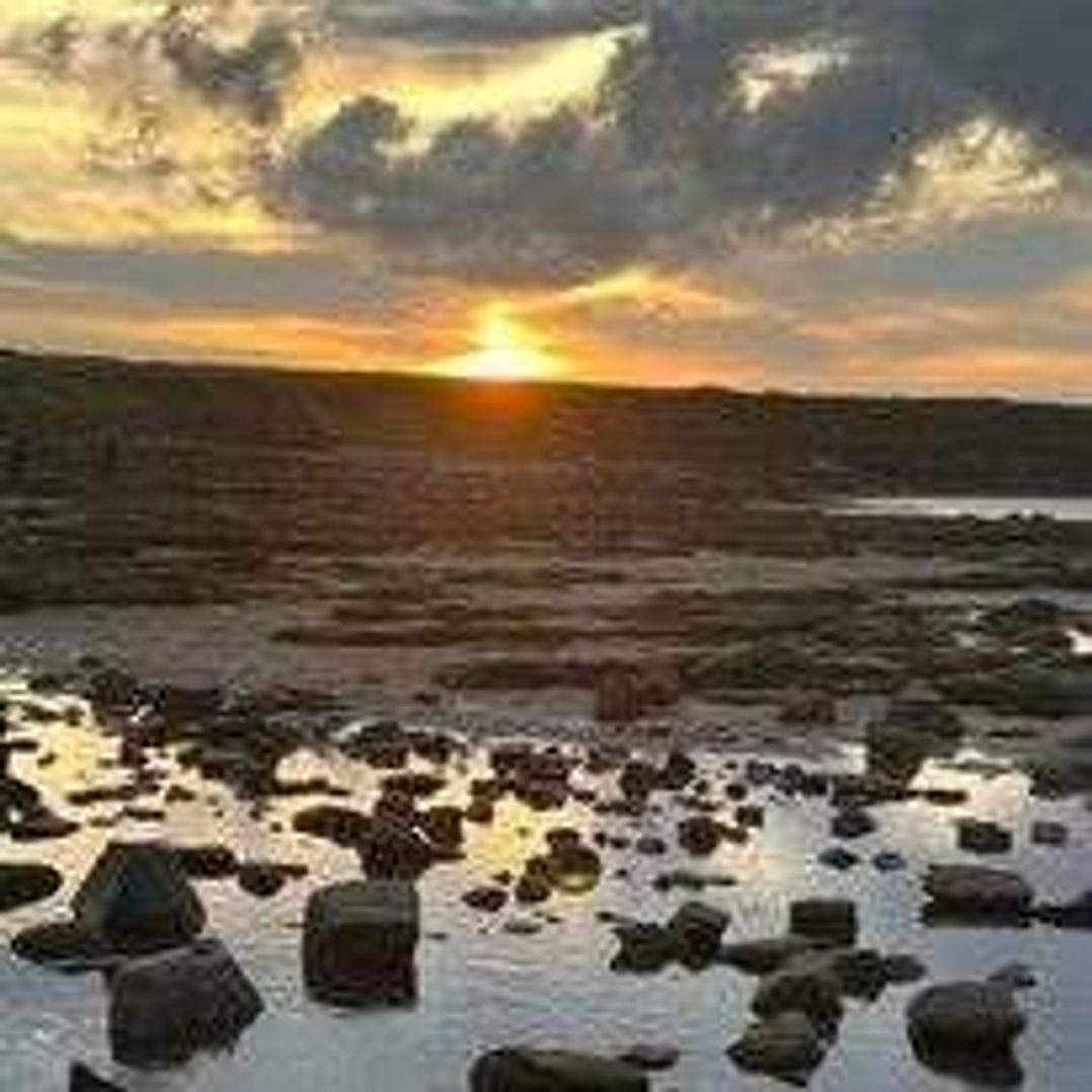 Whitley Bay Holiday Park - Holiday Accommodation 19754