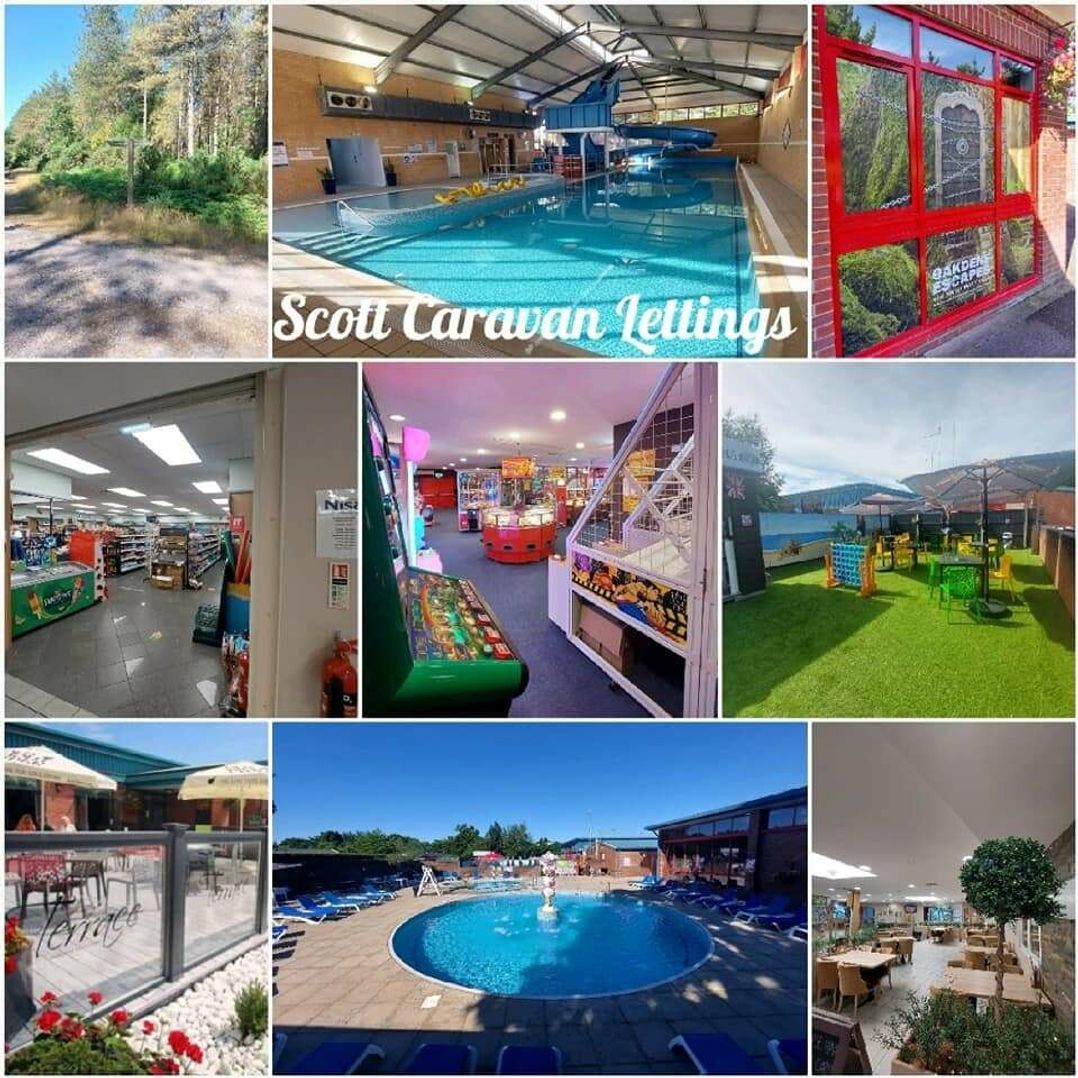 Oakdene Forest Park - Holiday Accommodation 21011