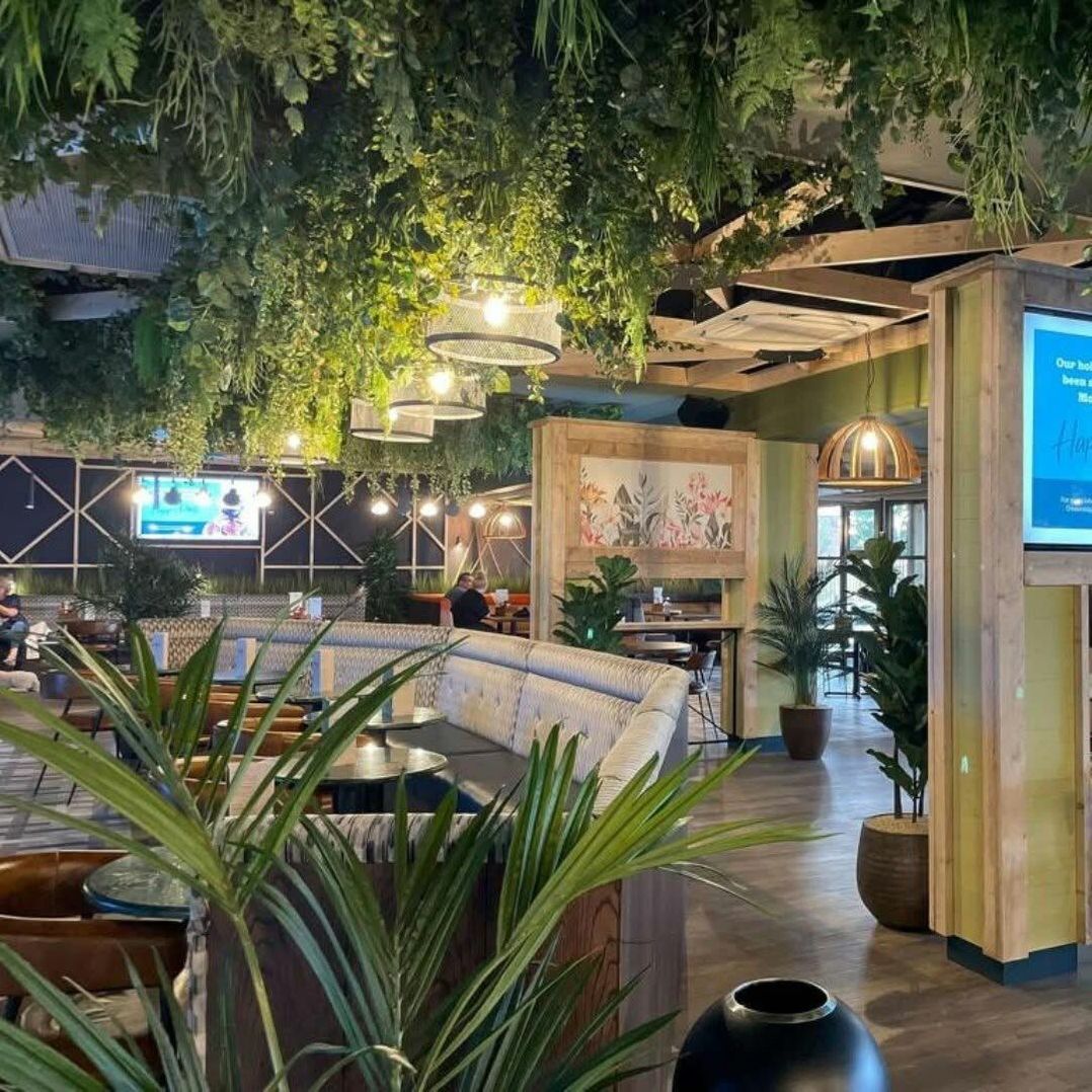 Mill Rythe Holiday Park - Holiday Accommodation 22024