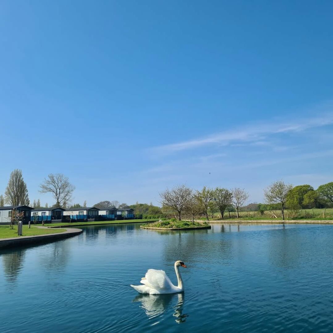 Mill Rythe Holiday Park - Holiday Accommodation 22024