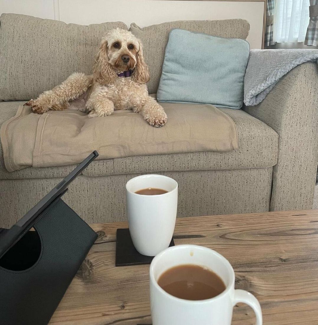 The Flask Holiday Park - Holiday Accommodation 14014