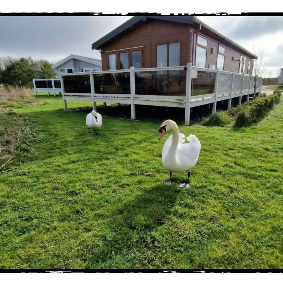 Lakeland Leisure Park - Holiday Accommodation 16418