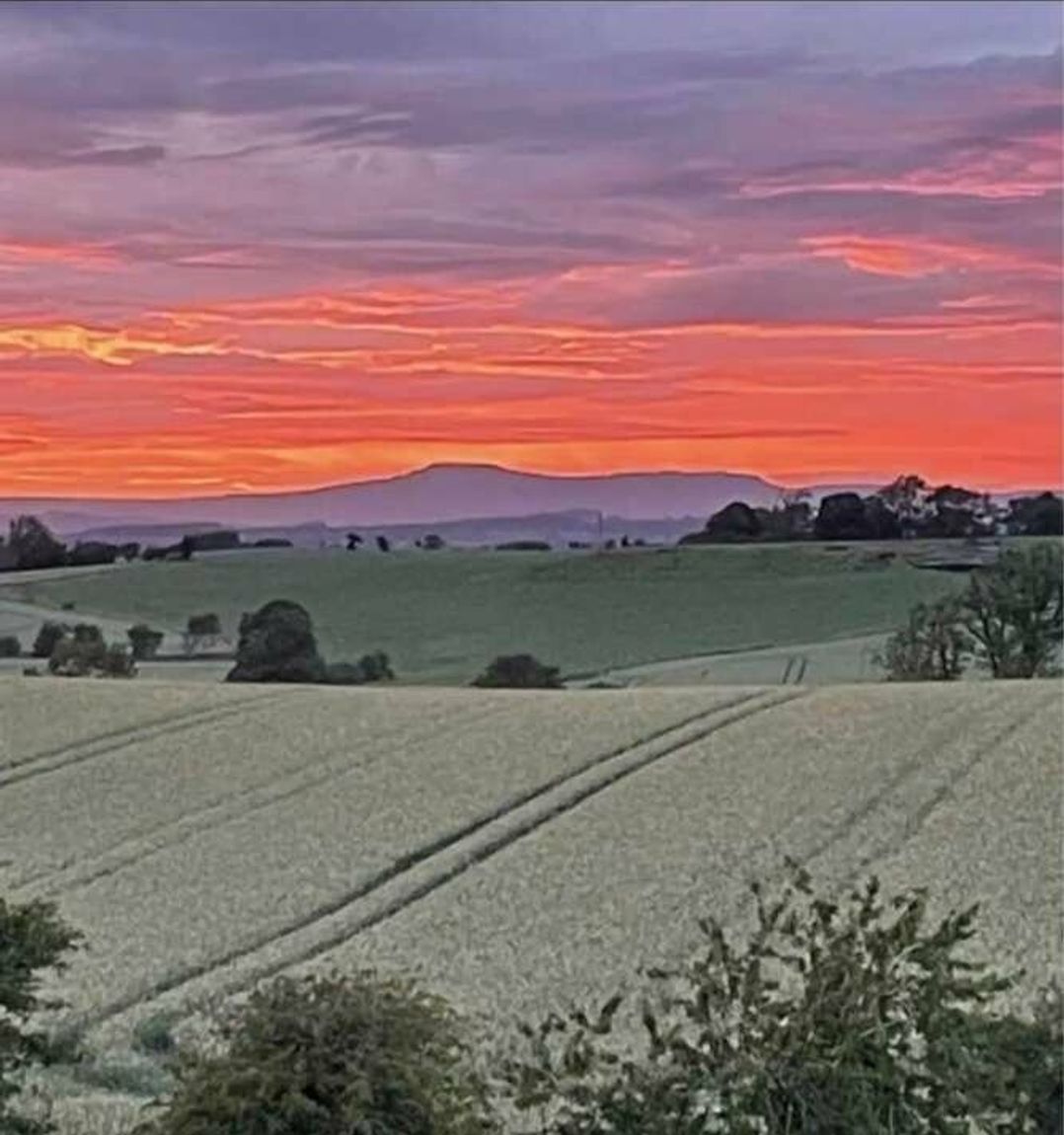 Todber Valley Holiday Park - Holiday Accommodation 13827