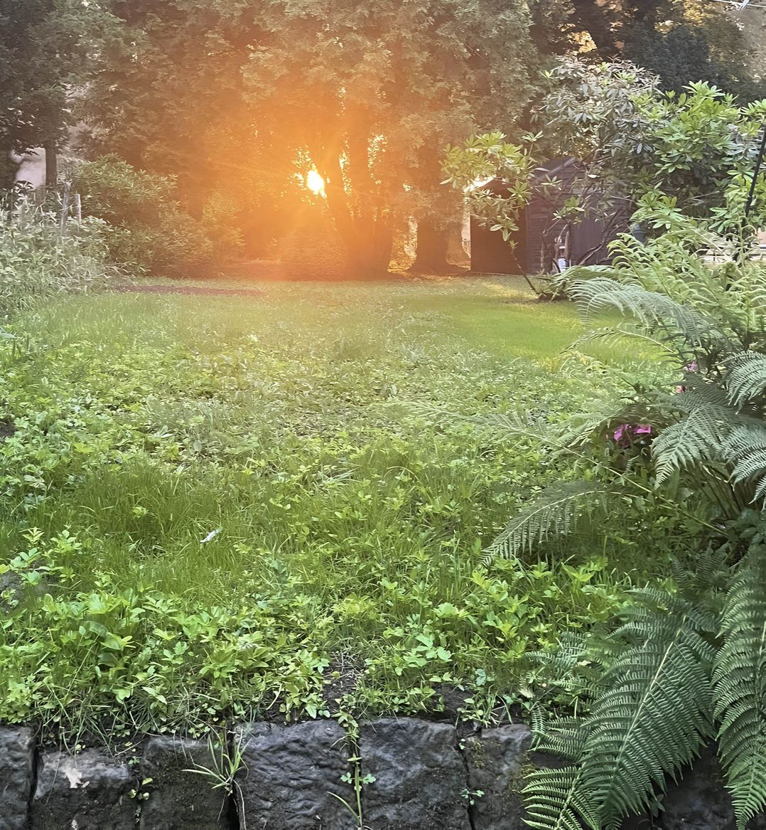 Dobbin the horse box in The Lake District