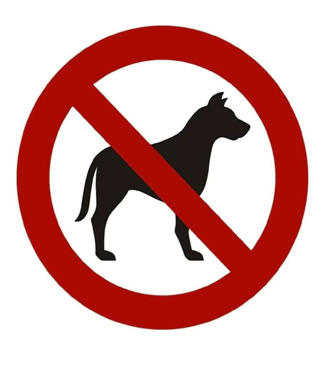 Lido Beach Holiday Park - Holiday Accommodation 16842