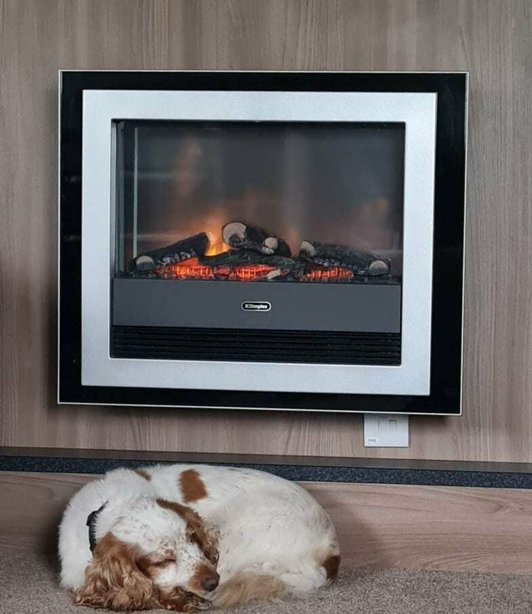 Looe Bay Holiday Park - Holiday Accommodation 5972