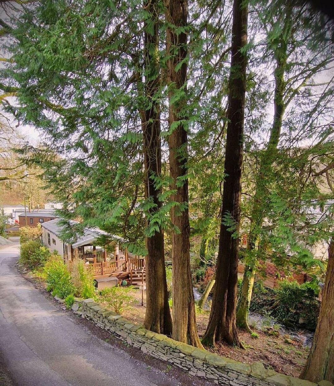 Aberdunant Hall Holiday Park - Holiday Accommodation 19810