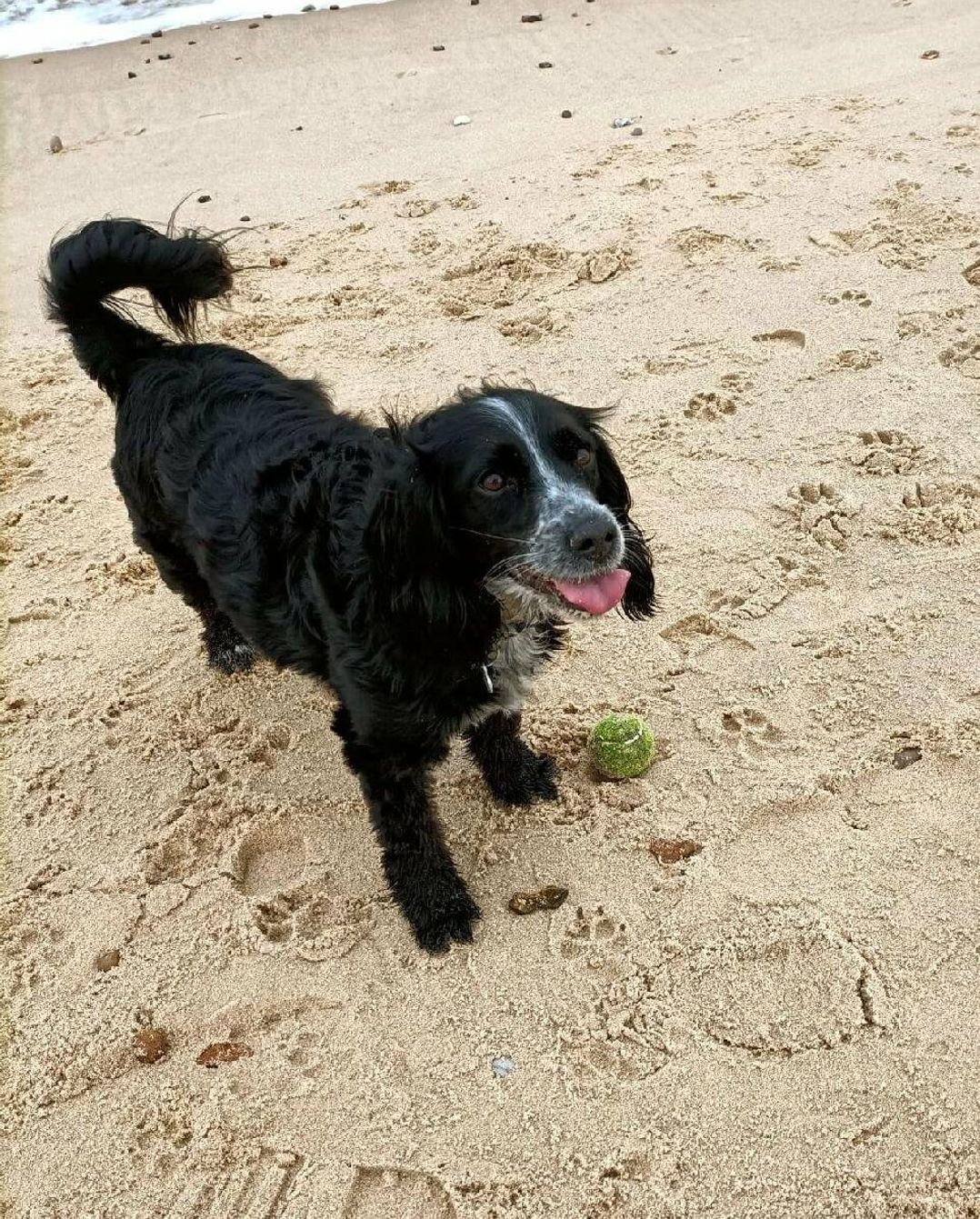 Wild Duck Holiday Park - Holiday Accommodation 16348