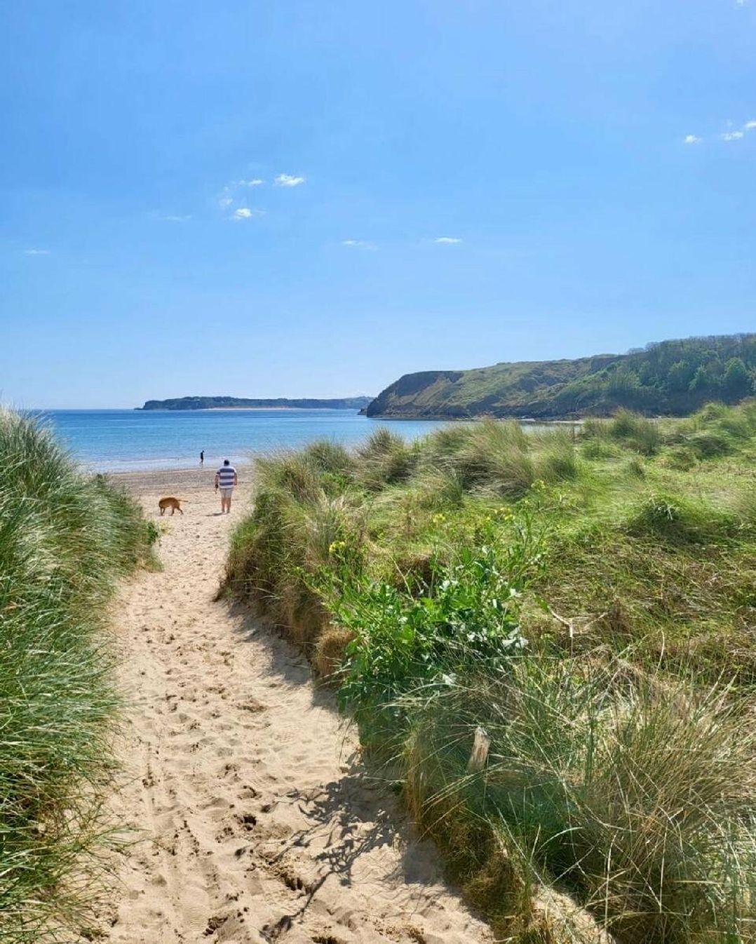 Penally Court - Holiday Accommodation 13362