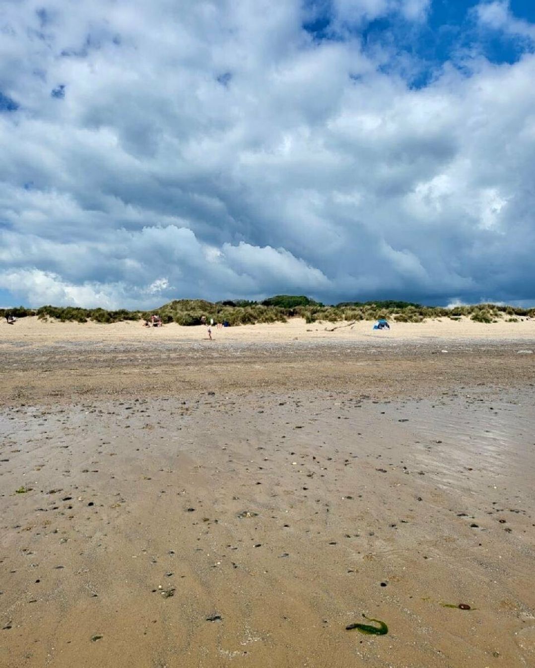 Penally Court - Holiday Accommodation 13362