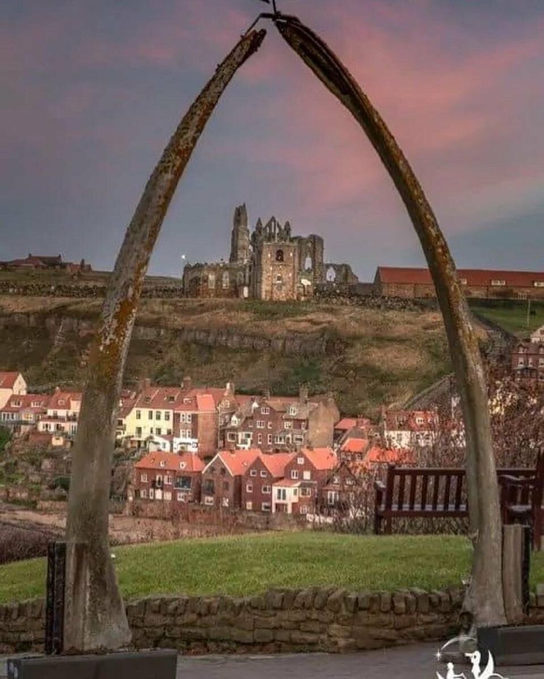 The Flask Holiday Park - Holiday Accommodation 14015