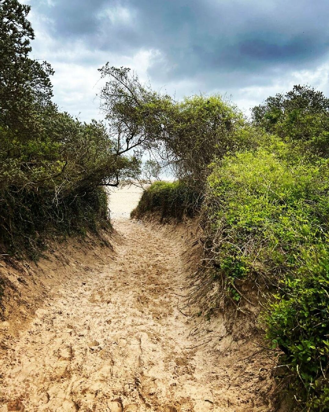 Kiln Park Holiday Park - Holiday Accommodation 17553