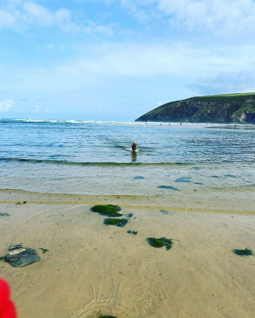 Newquay Bay Resort - Holiday Accommodation 18431