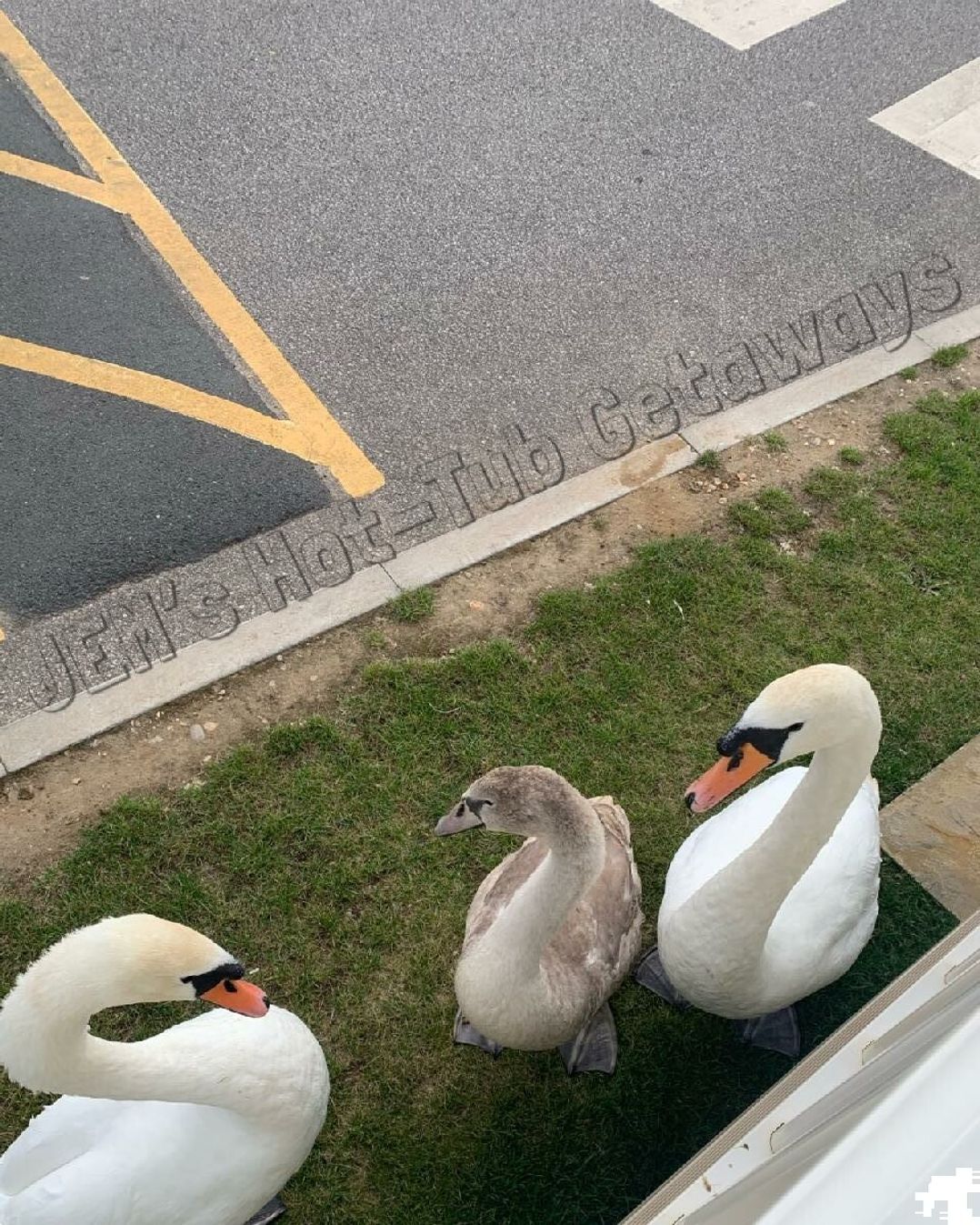 Tattershall Lakes Country Park - Holiday Accommodation 18710