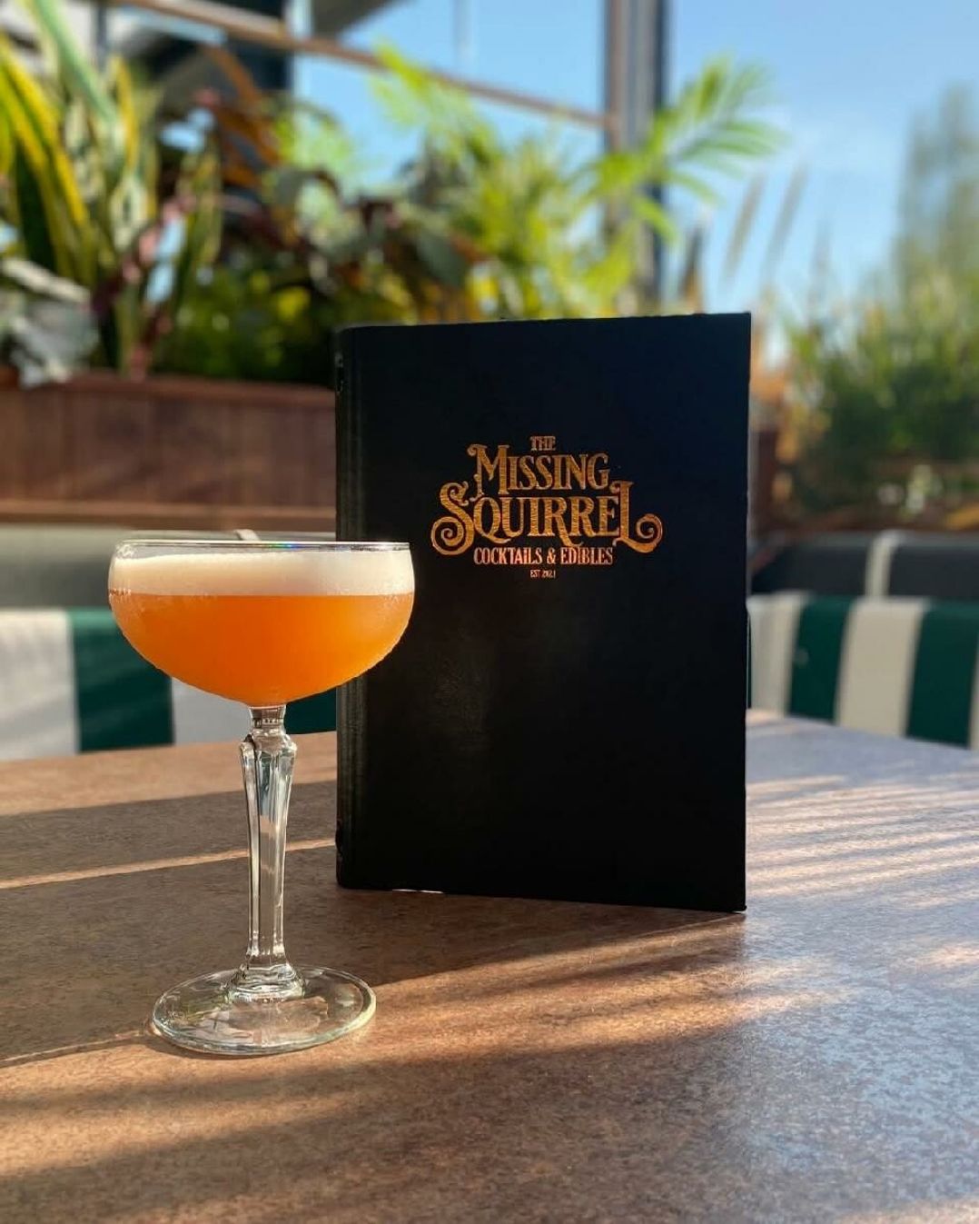 Mill Rythe Holiday Park - Holiday Accommodation 22024