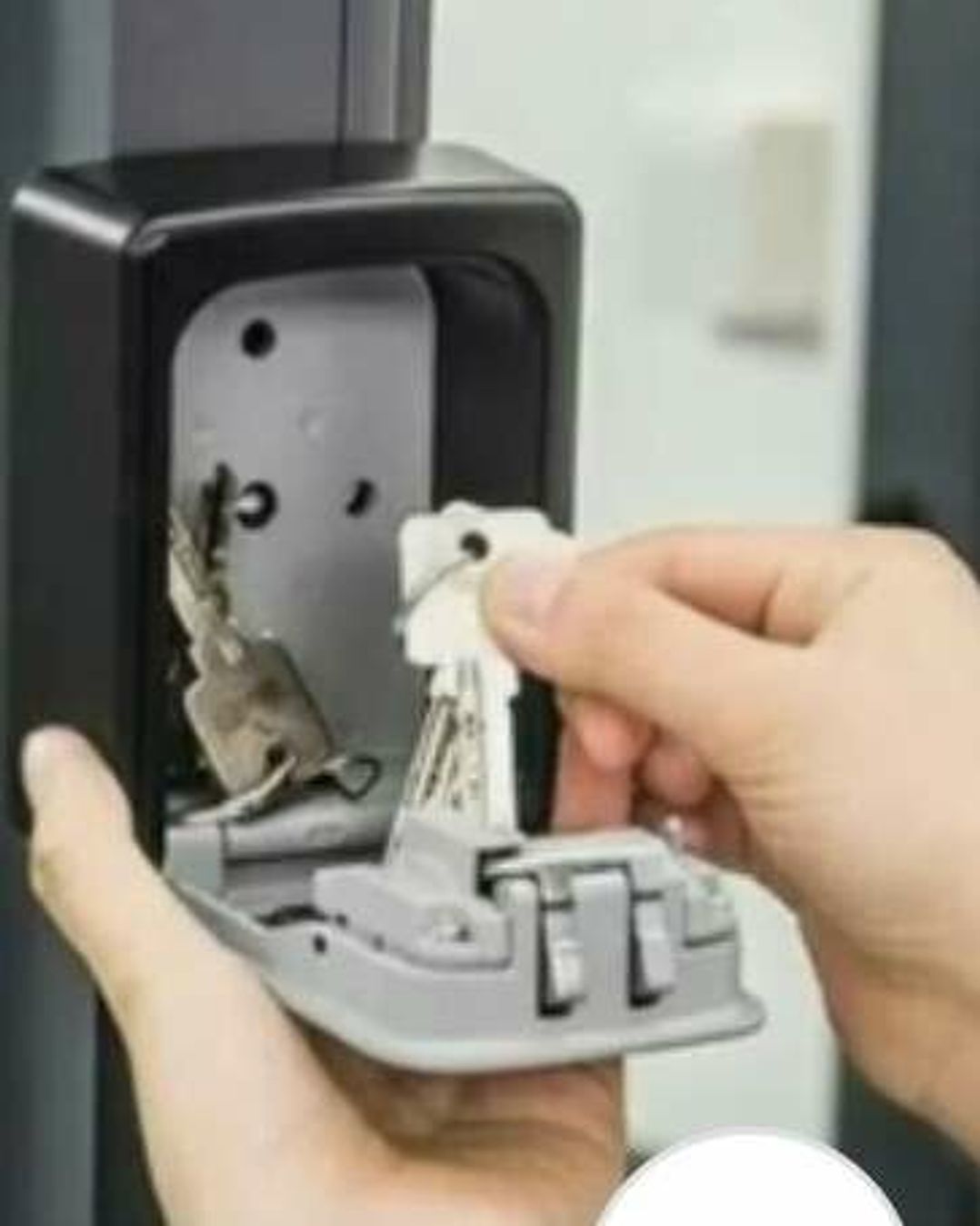 Palins Holiday Park - Holiday Accommodation 15004