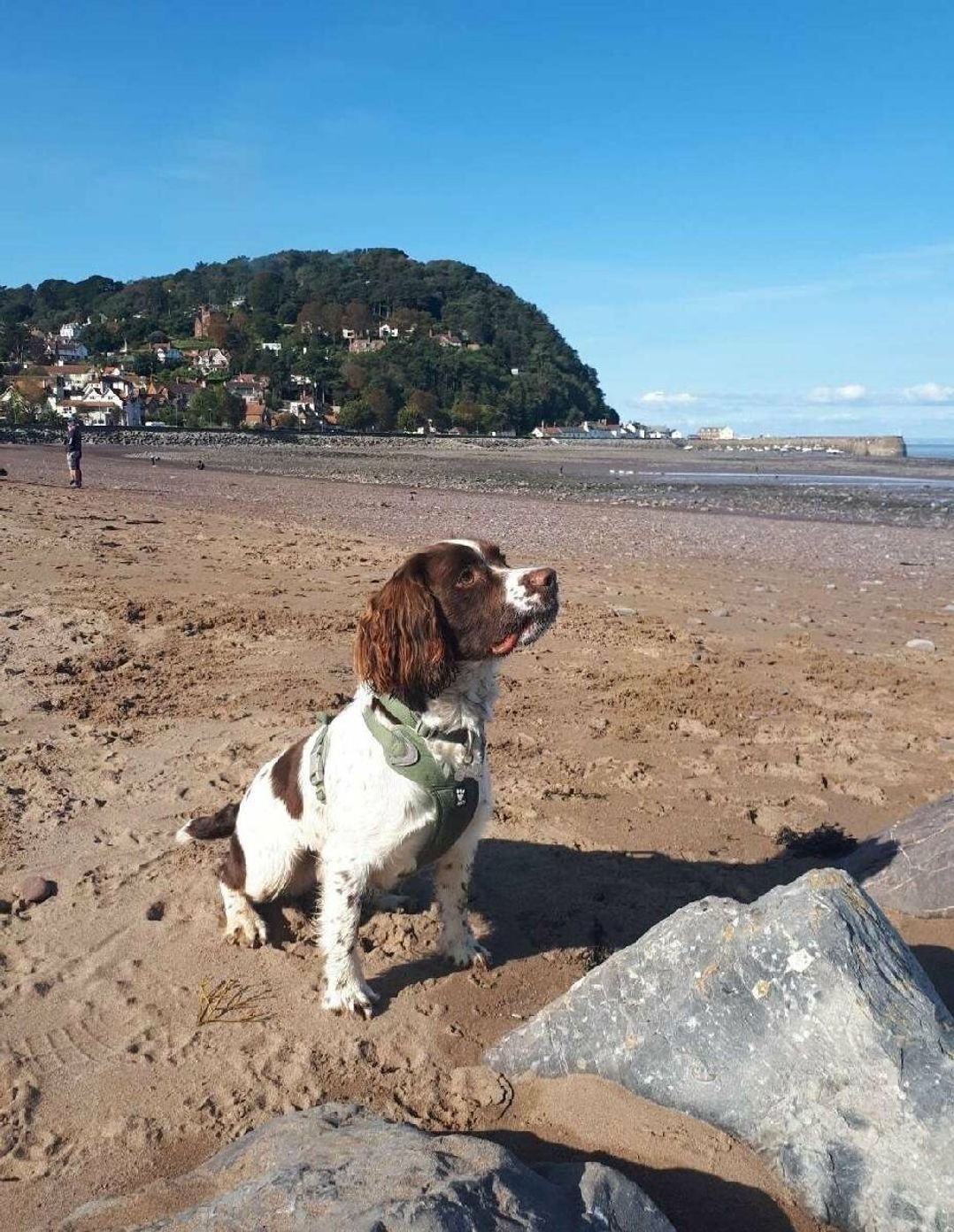 Hoburne Blue Anchor - Holiday Accommodation 14435