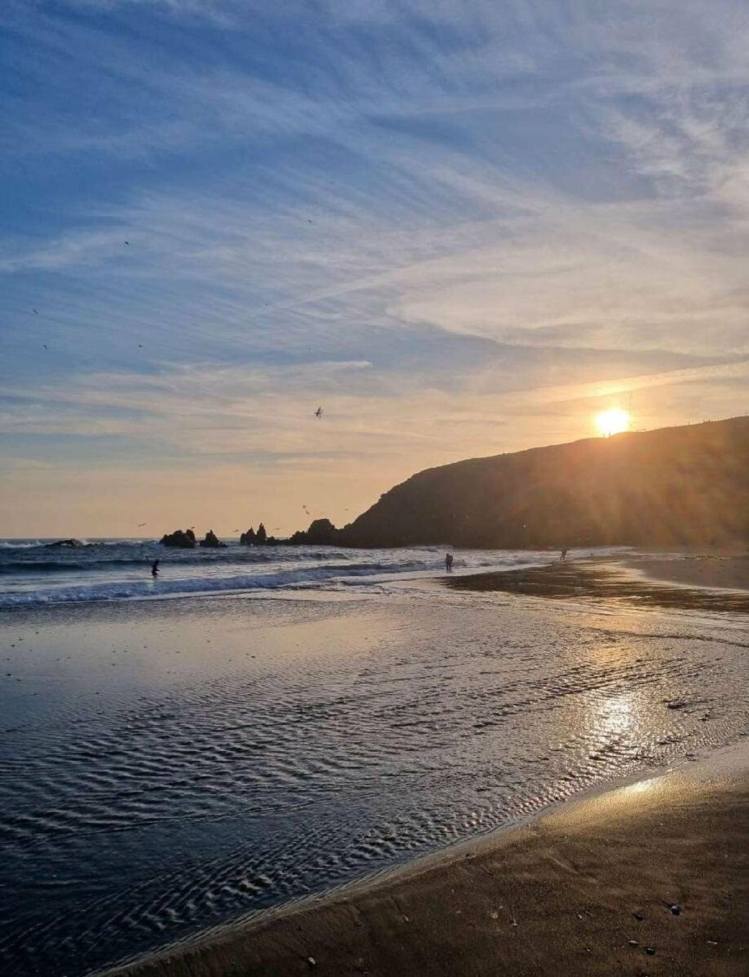 Challaborough Bay Holiday Park - Holiday Accommodation 18152