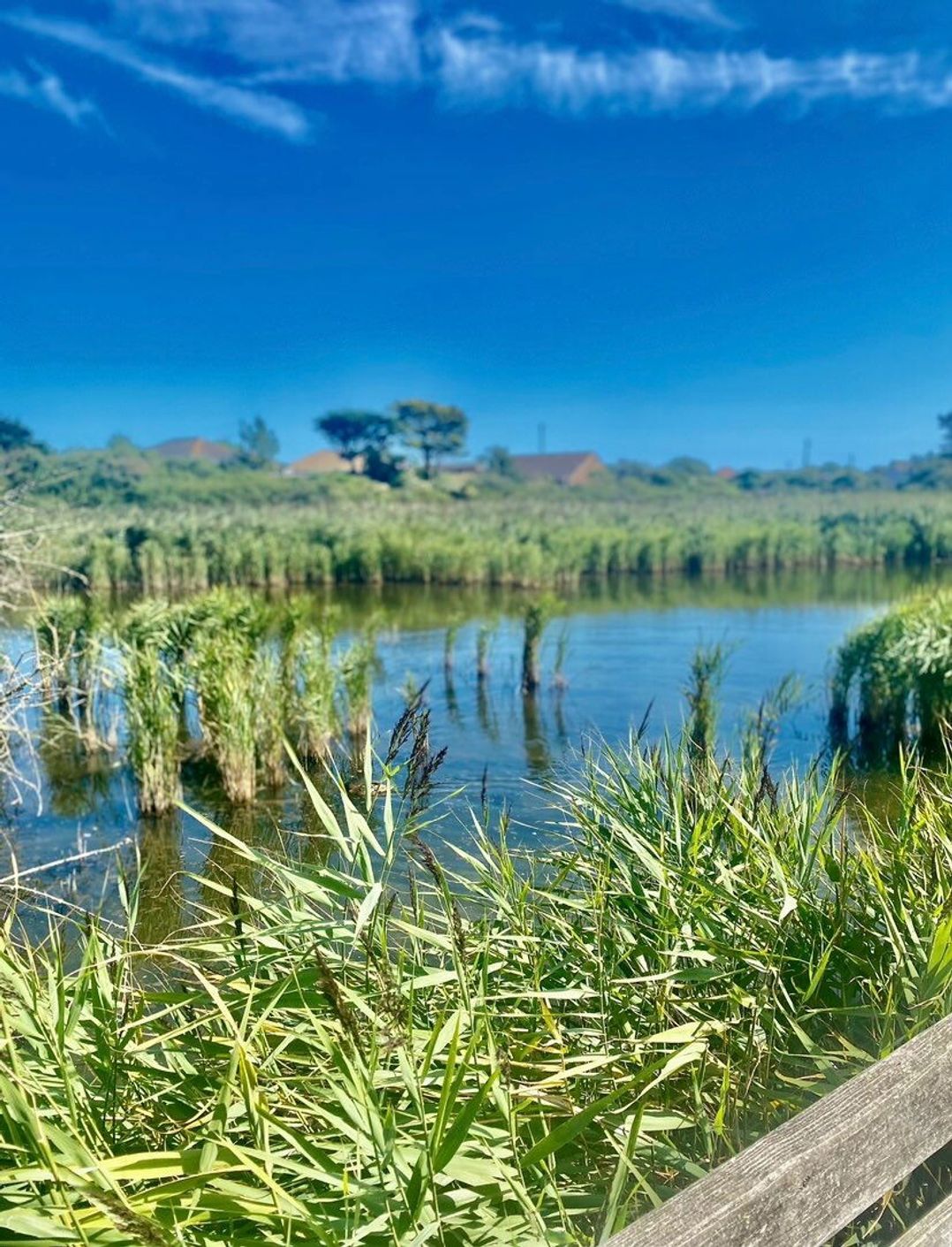 Church Farm Holiday Village - Holiday Accommodation 21055