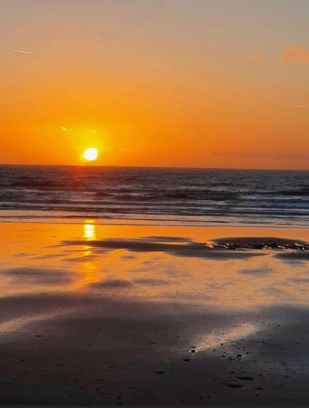 Brynowen Holiday Park - Holiday Accommodation 19090