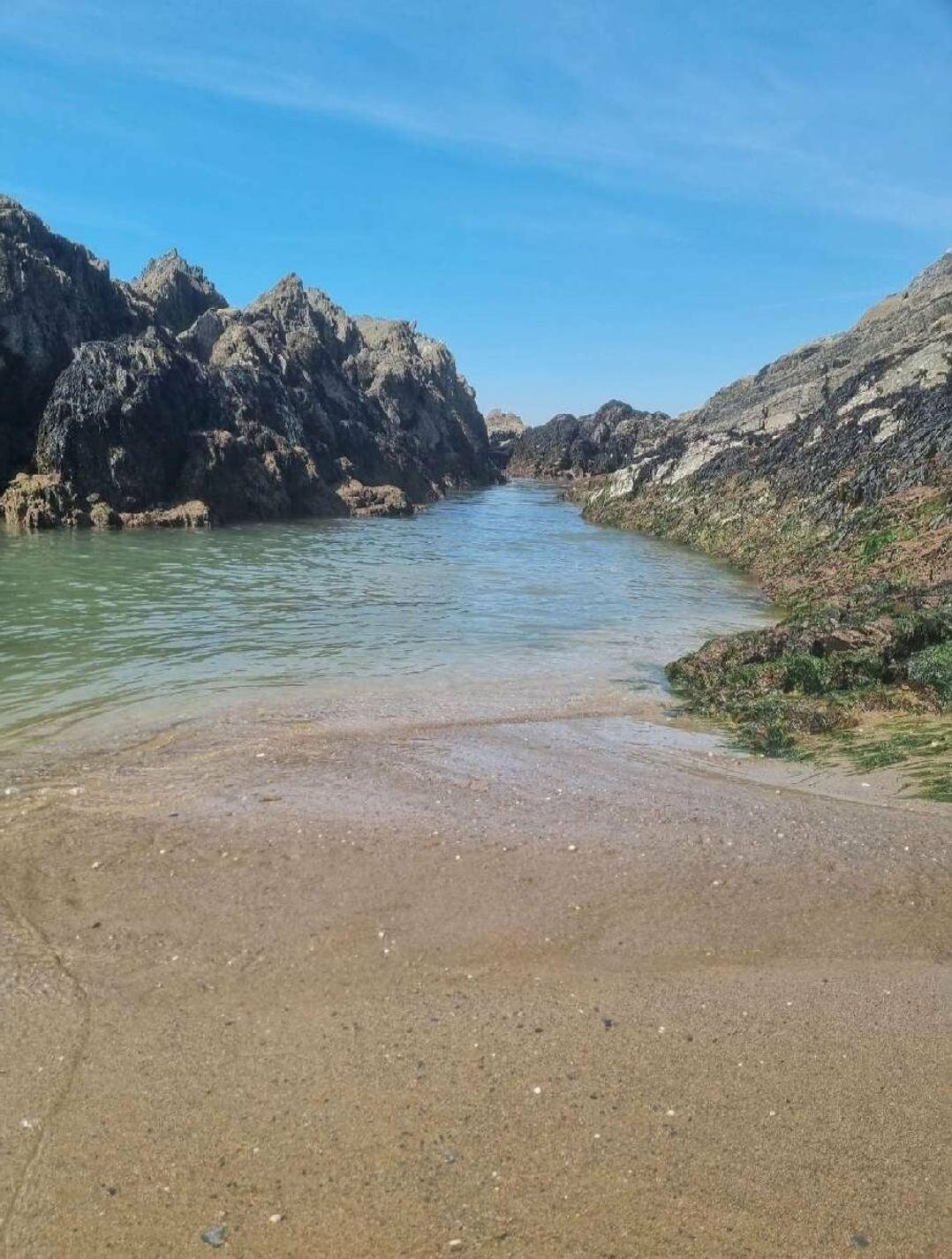 Challaborough Bay Holiday Park - Holiday Accommodation 18152