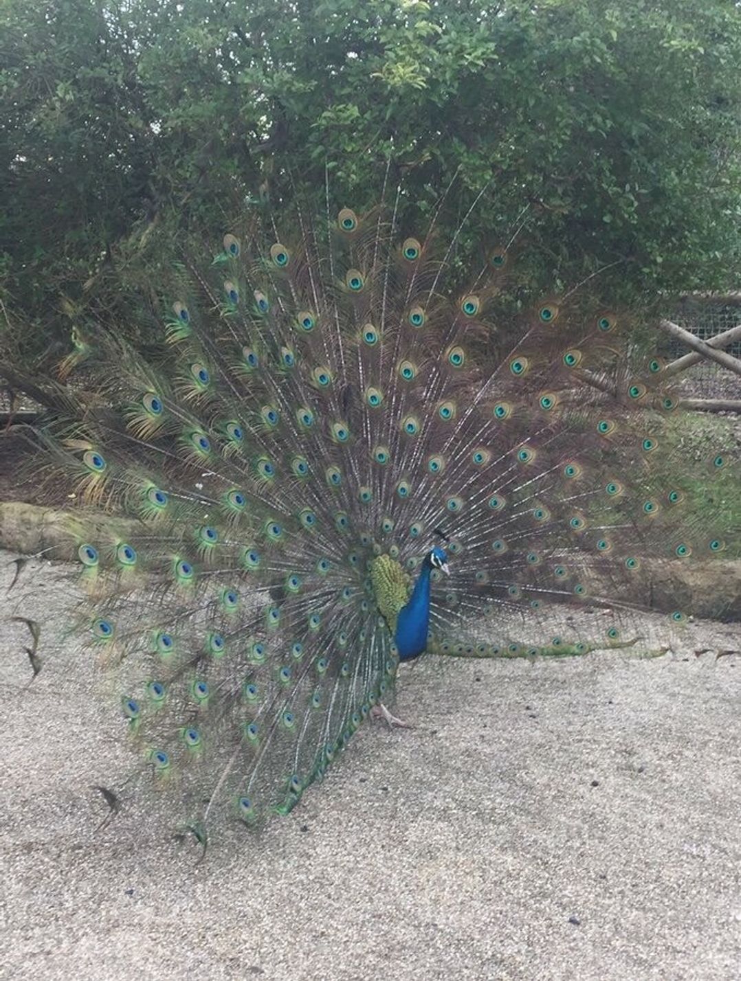 Flamingo Land Holiday Park - Holiday Accommodation 8838