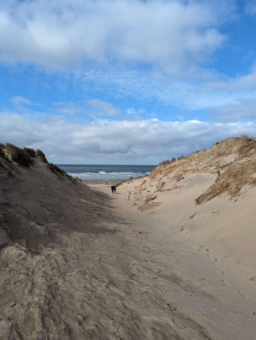 Dyffryn Seaside Estate - Holiday Accommodation 19073