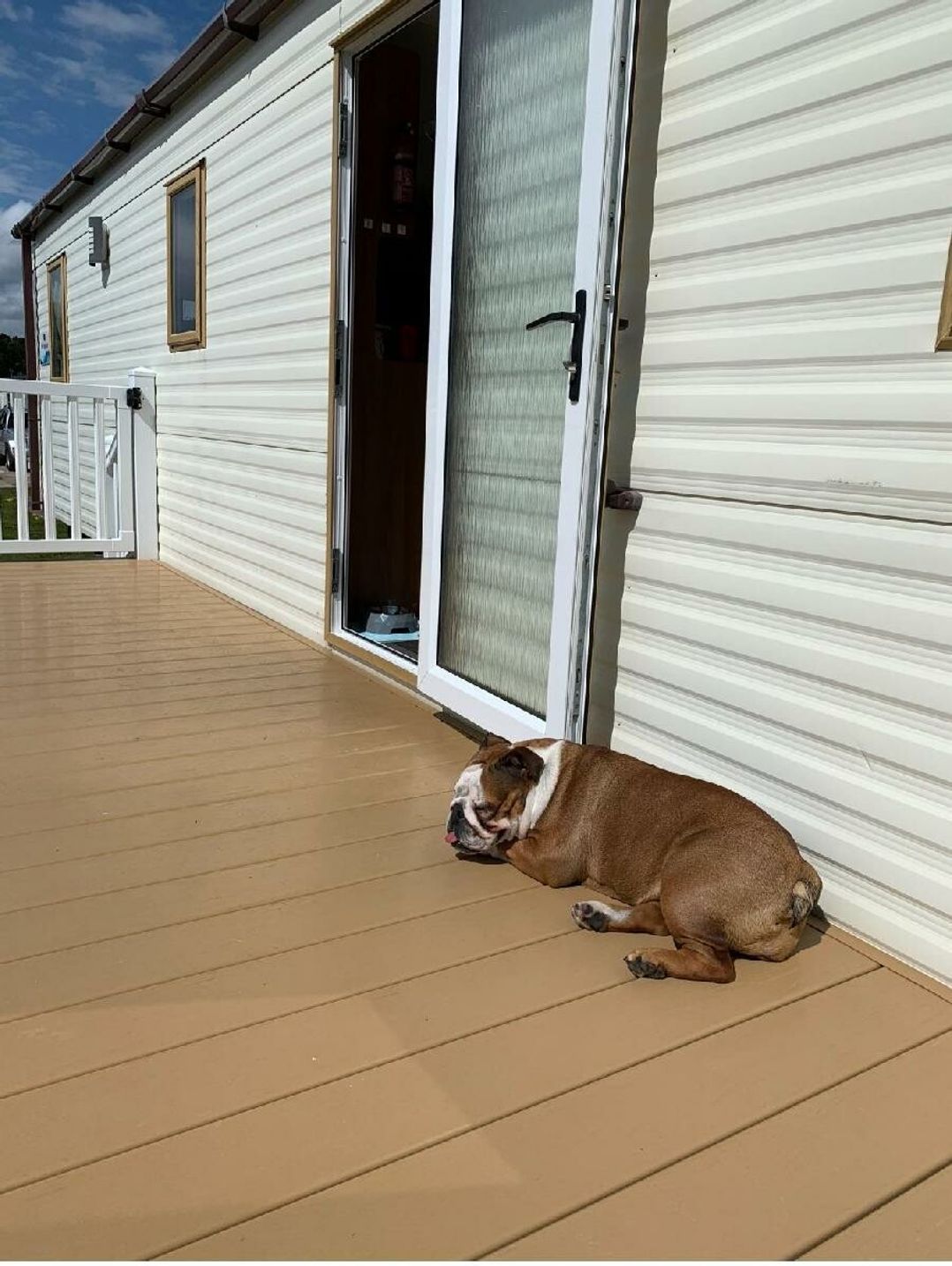 Cayton Bay Caravan Park - Holiday Accommodation 21683