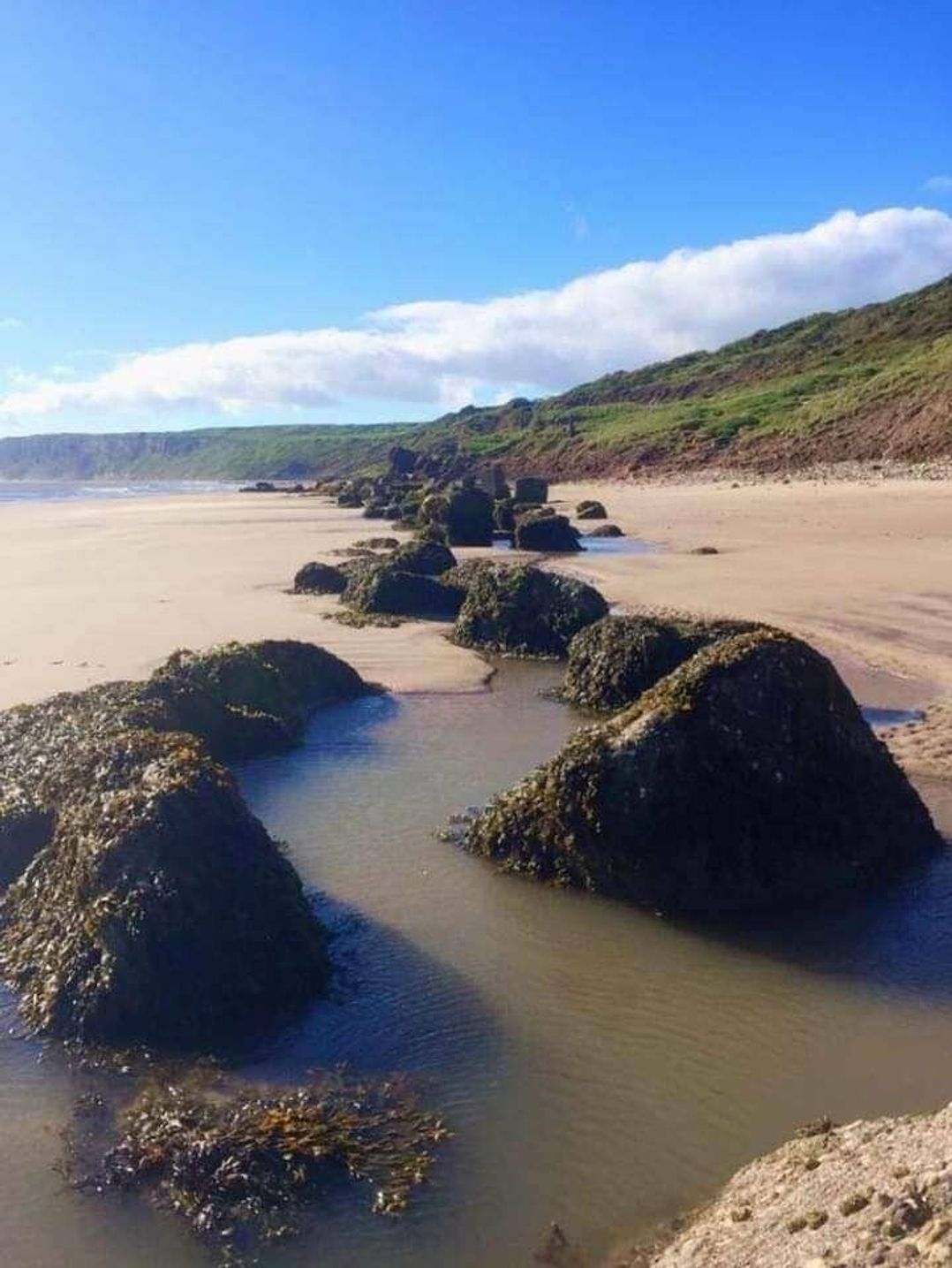 Reighton Sands Holiday Park - Holiday Accommodation 16006