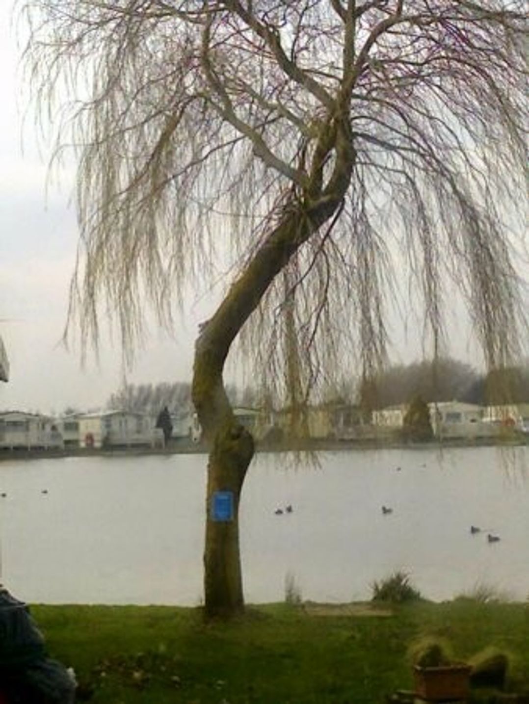 Southview Holiday Park - Holiday Accommodation 250