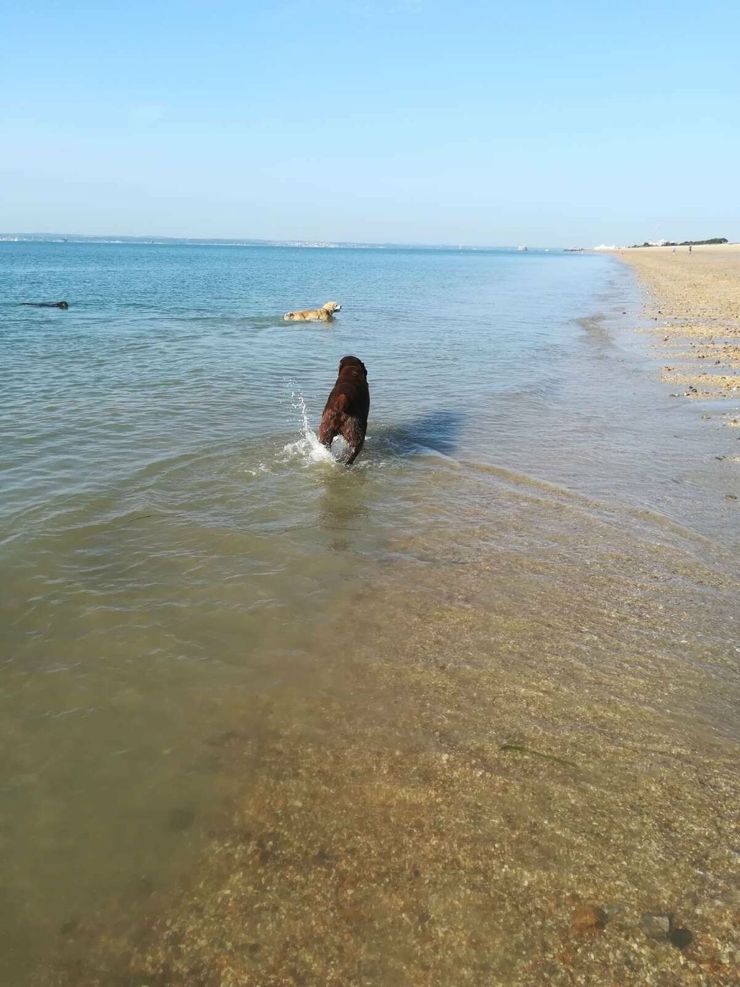 Southsea Leisure Park - Holiday Accommodation 10070