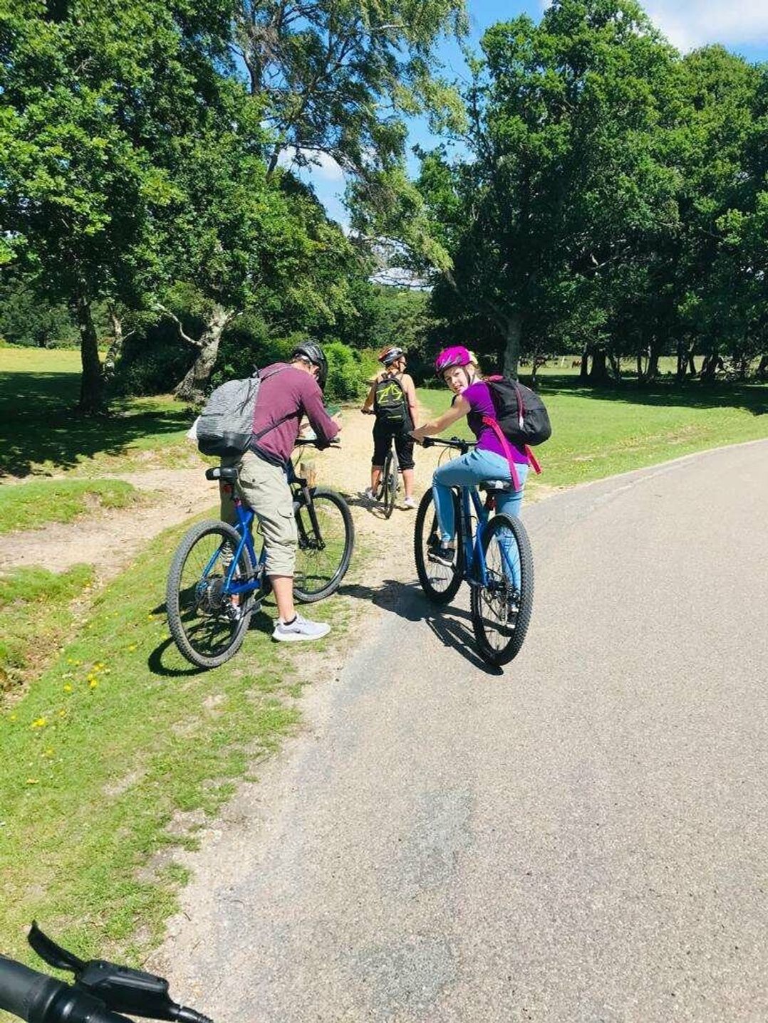 Shorefield Country Park - Holiday Accommodation 10622