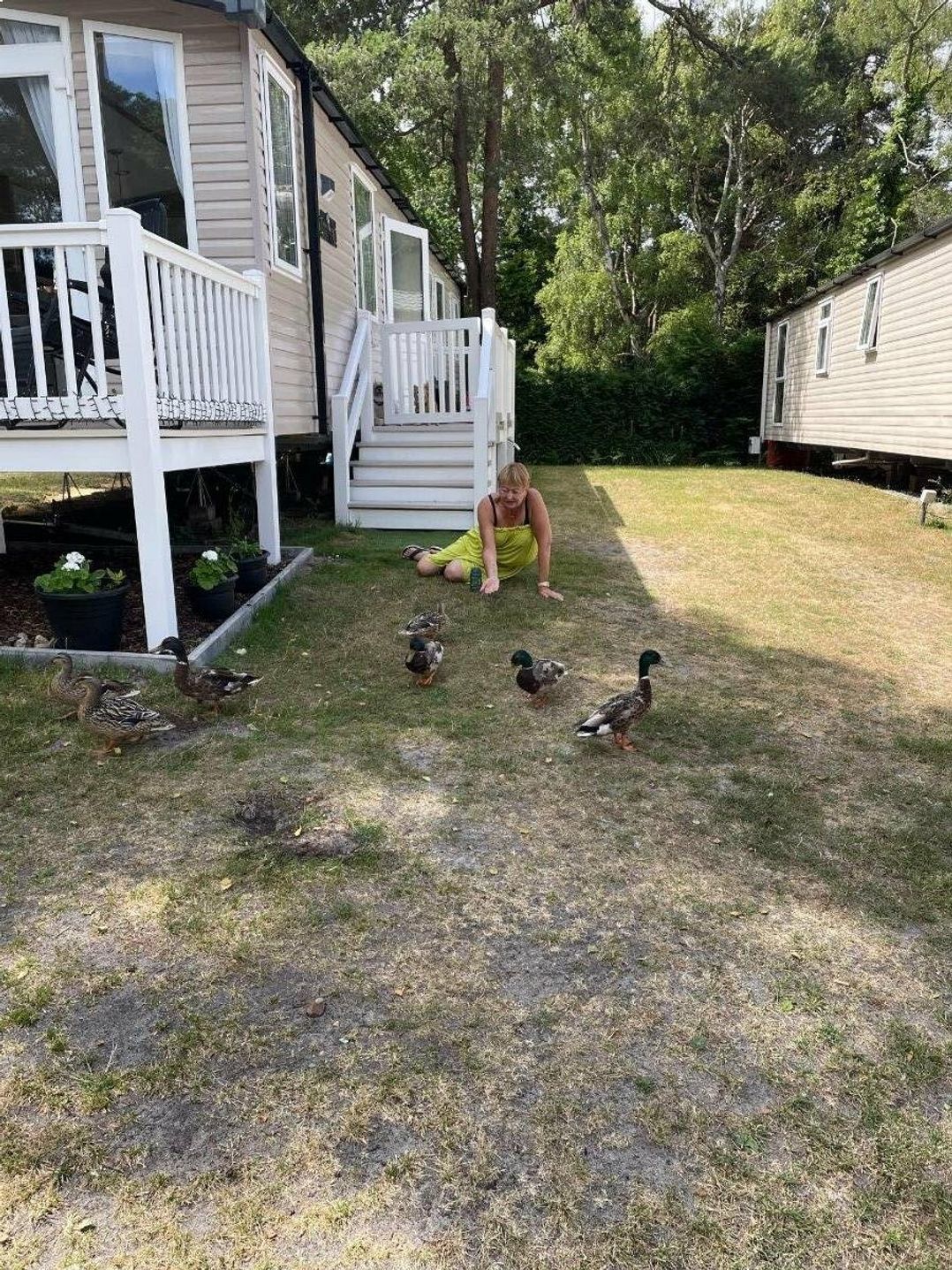 Wild Duck Holiday Park - Holiday Accommodation 10940