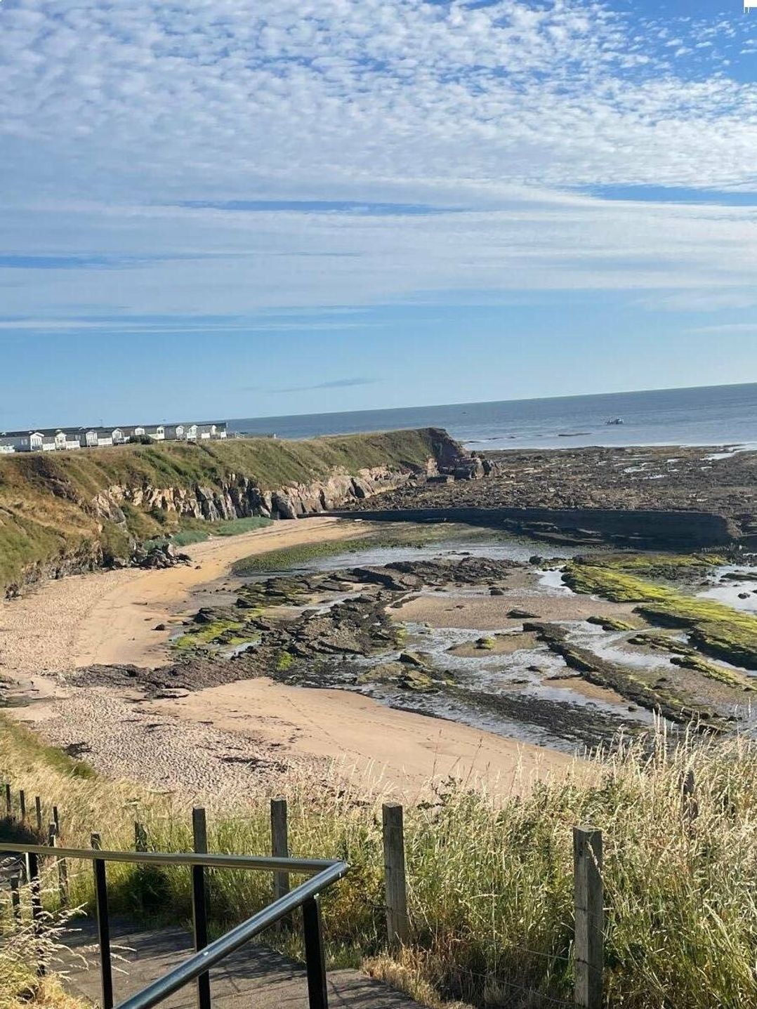 Berwick Holiday Park - Holiday Accommodation 11018