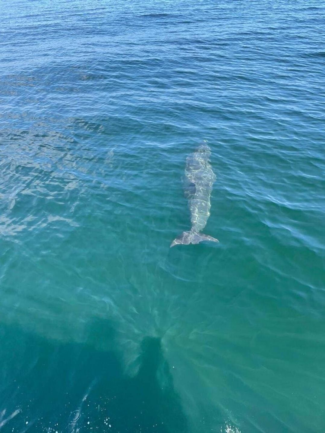 Berwick Holiday Park - Holiday Accommodation 11018