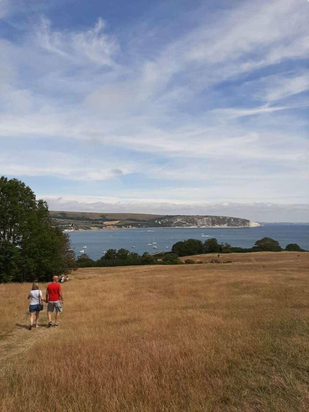 Swanage Bay View - Holiday Accommodation 11110