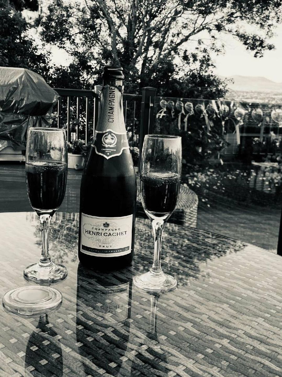 Hafan y Mor Haven - Holiday Accommodation 11396