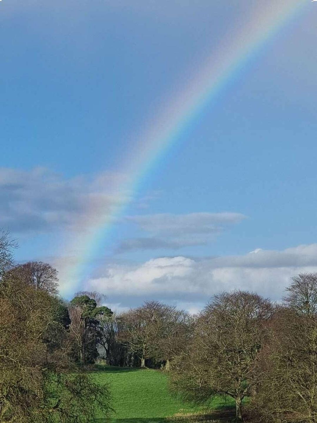 Weymouth Bay Holiday Park - Holiday Accommodation 11734