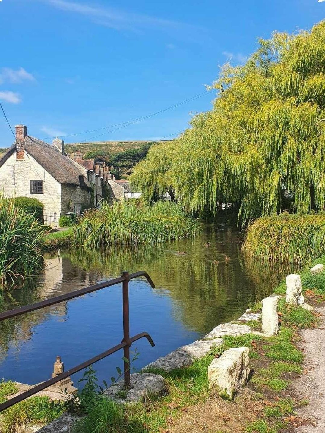 Weymouth Bay Holiday Park - Holiday Accommodation 11734