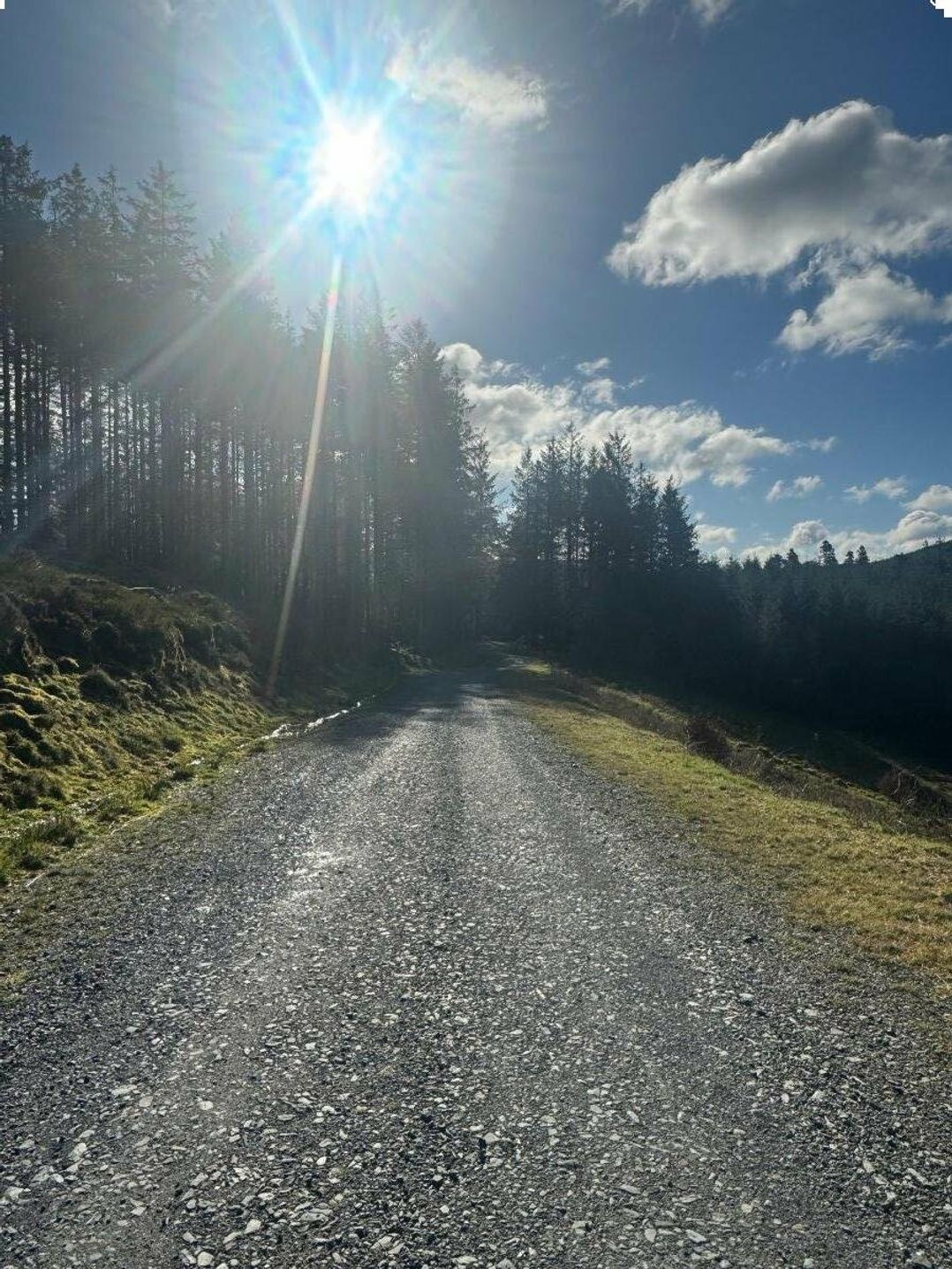 Brynowen Holiday Park - Holiday Accommodation 11787